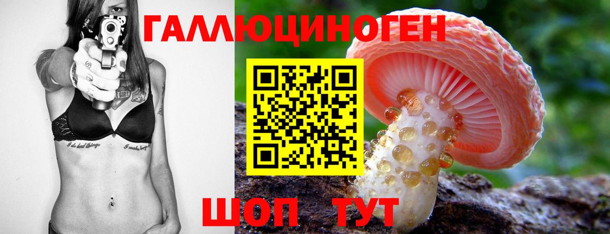 Псилоцибиновые грибы Cubensis  Вход с VPN  Дагестанские Огни 